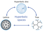 Superconductivity in hyperbolic spaces: Cayley trees, hyperbolic continuum, and BCS theory